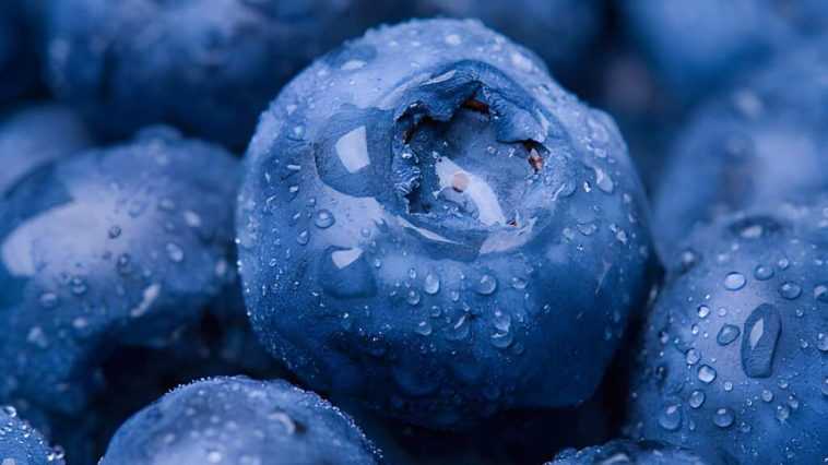 National BLUEBERRY Day