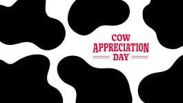 COW Appreciation Day