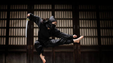 International NINJA Day