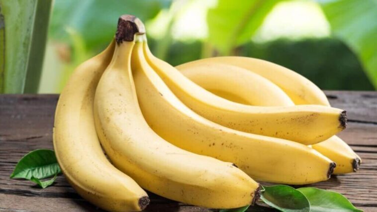 National BANANA Day