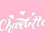 We LOVE National CHARLOTTE Day