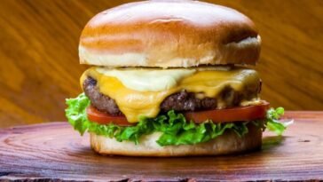 National CHEESEBURGER Day FOOD Icon