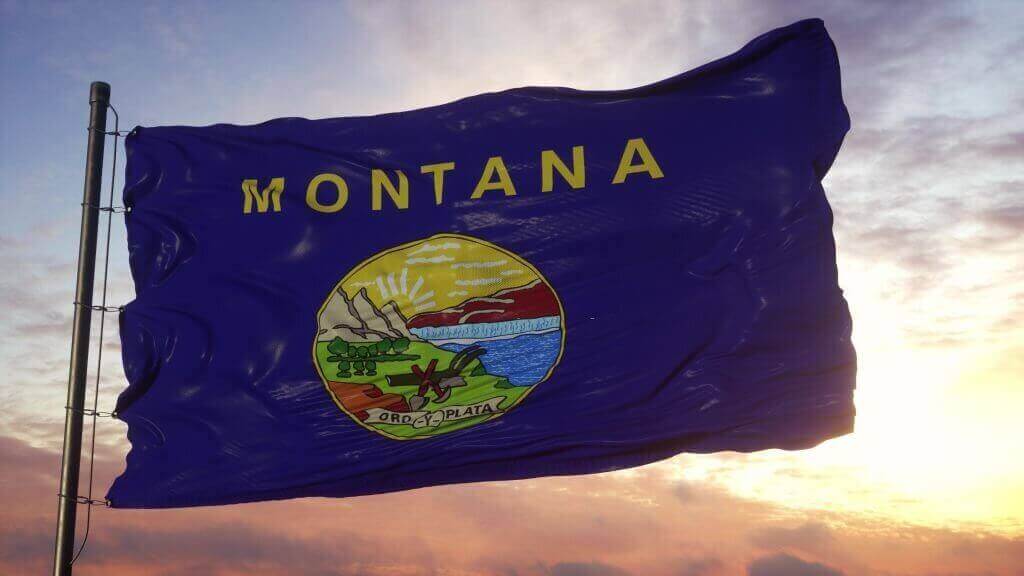 National MONTANA Day