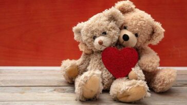 TEDDY Day