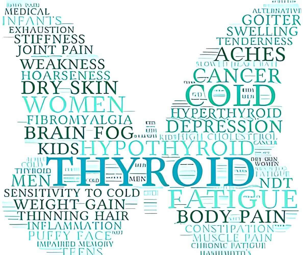 🦋 THYROID Awareness Month 2025 January •