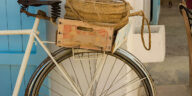 World BICYCLE Day