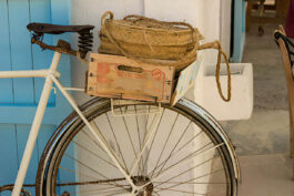 World BICYCLE Day
