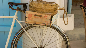 World BICYCLE Day
