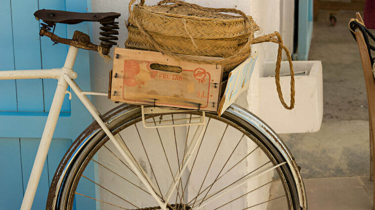 World BICYCLE Day