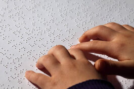 World BRAILLE Day